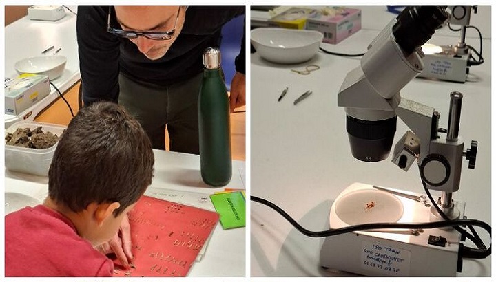 Notre association se mobilise pour la fête de la science 2025 en région Occitanie